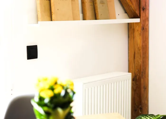 Brick And Wood 아파트 비드고슈치